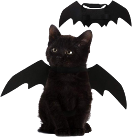 Pet Cat Bat Wings for Halloween