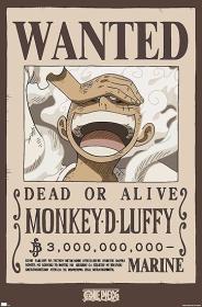 One Piece - Monkey D Luffy Wanted Poster Wall Poster, 34L x 22.4W, Unframed Version