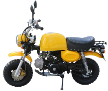 Yetişkinler ve gençler için mini benzinli motosiklet