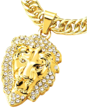 Aslan başı iced out kolye