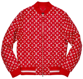 Louis Vuitton Supreme deri monogram bomber ceket