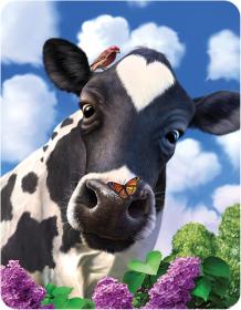 Curious Cow Fridge Magnet
