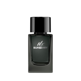 Mr Burberry EDP