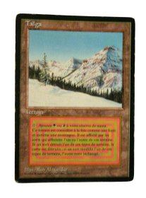 Magic The Gathering - Taiga Collectors Edition