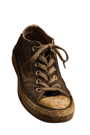 Old Shoe
