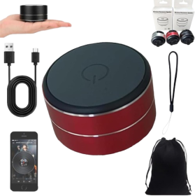 Anything Sound Pod Shower Speaker
