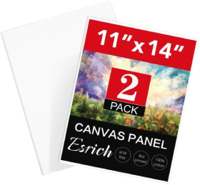 Painting Canvas Boards 2 Pack