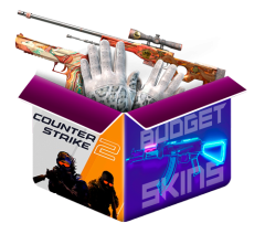 Budget Skins